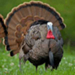 Meet your Posher, Conner